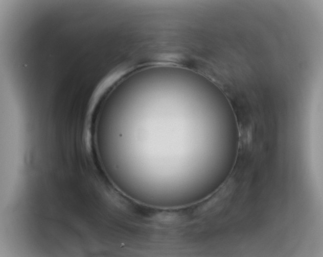 X0000114140294200910081310