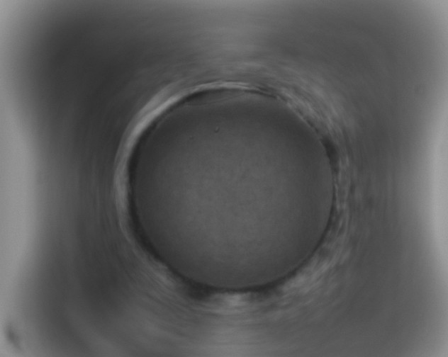 X0000114140295200910081310