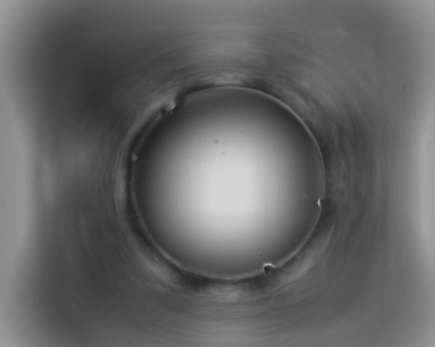 X0000114140299200910081310