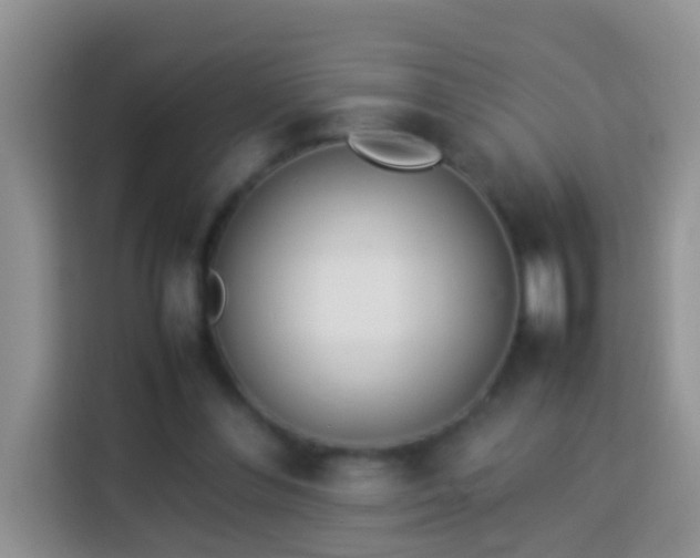 X0000114140300200910081310