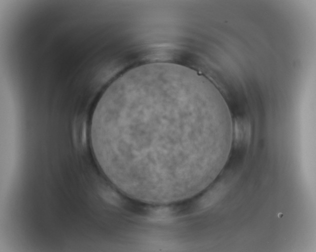 X0000114140301200910081310