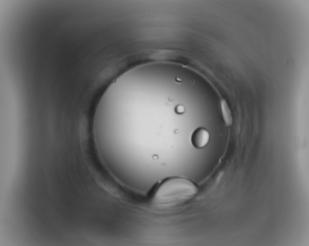 X0000114140303200910081310