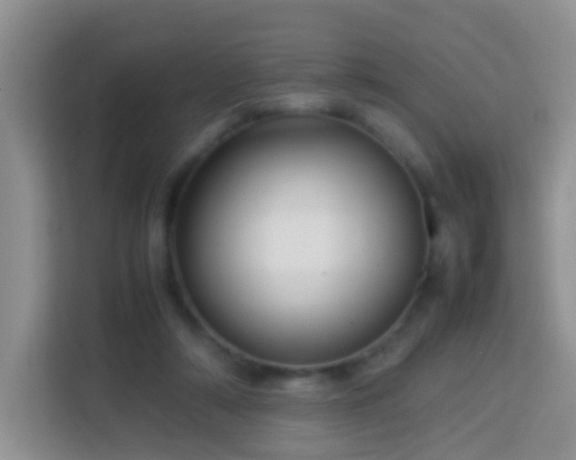 X0000114140306200910081310