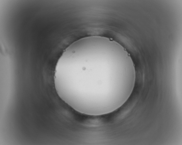 X0000114140307200910081310