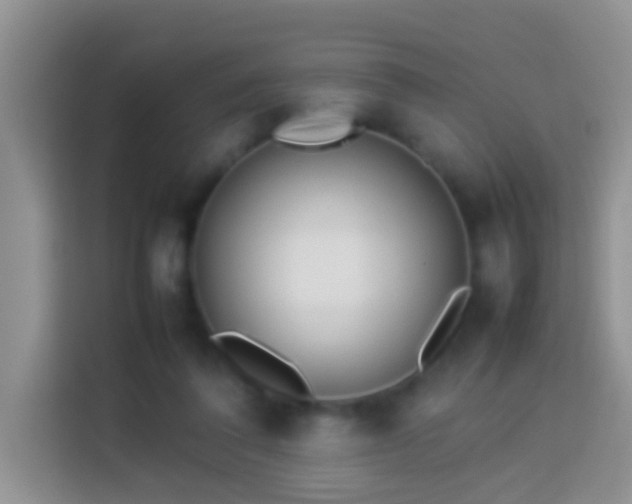 X0000114140308200910081310