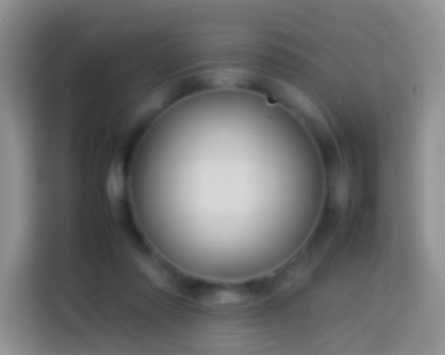 X0000114140310200910081310