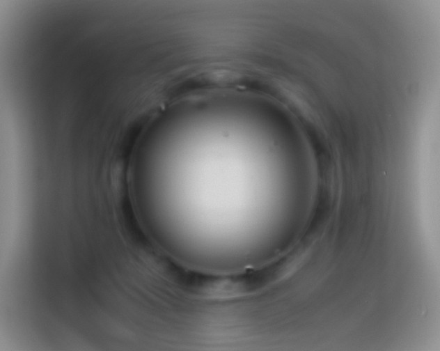 X0000114140319200910081310