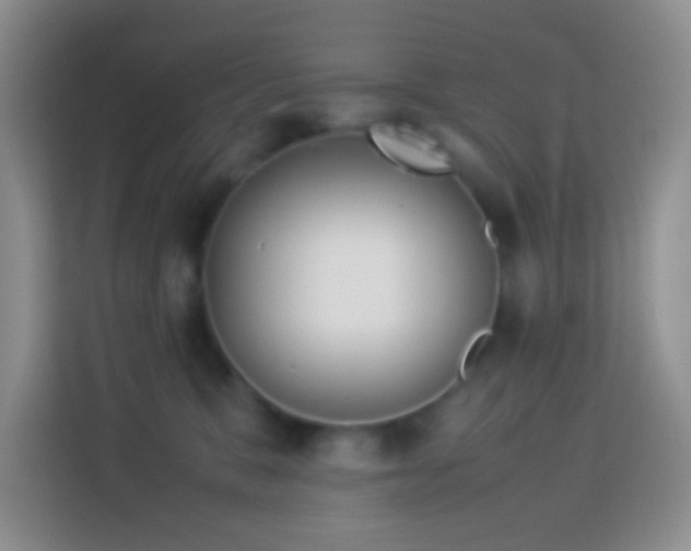 X0000114140327200910081310