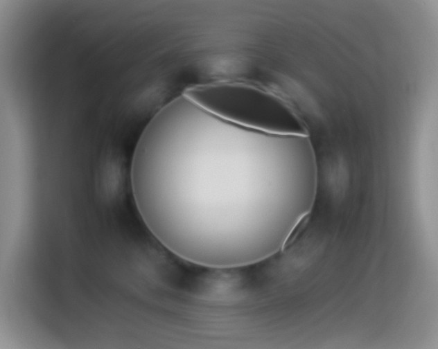 X0000114140328200910081310