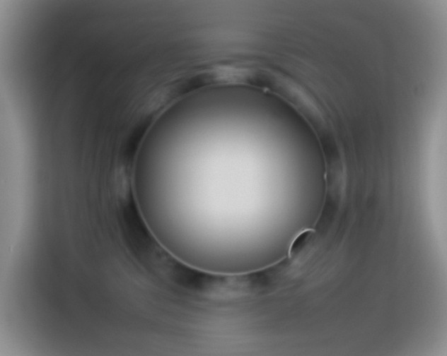 X0000114140329200910081310