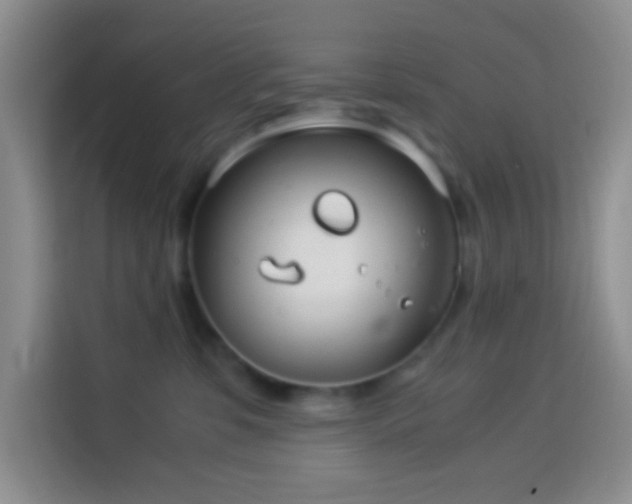 X0000114140331200910081310