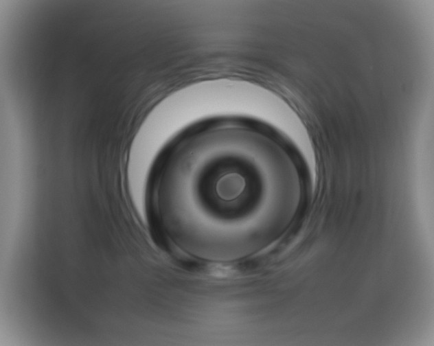 X0000114140333200910081310