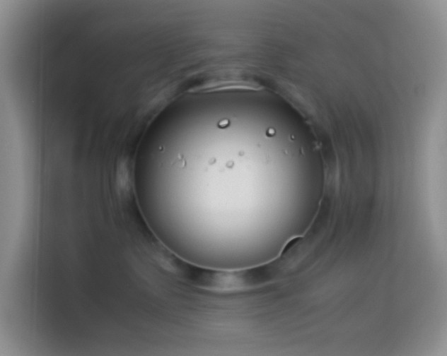 X0000114140335200910081310