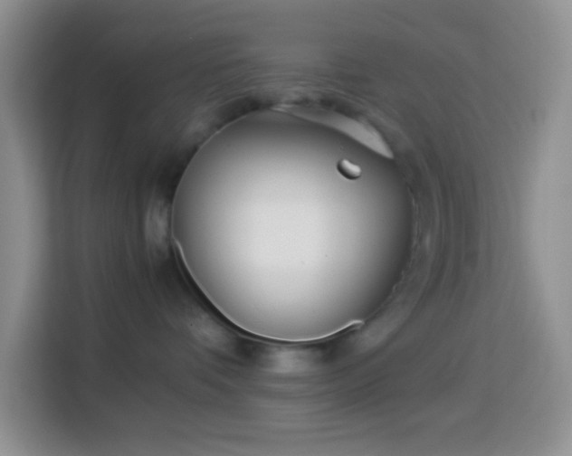 X0000114140336200910081310