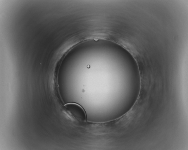 X0000114140338200910081309