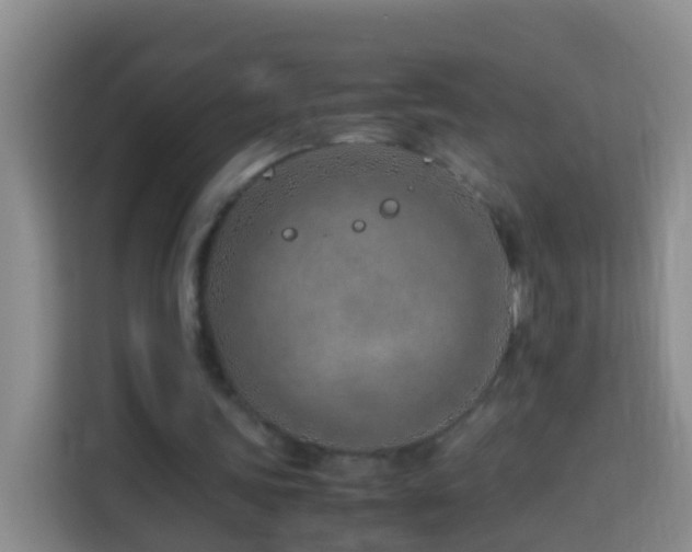 X0000114140339200910081309