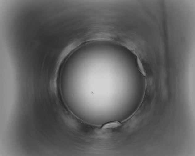 X0000114140340200910081309