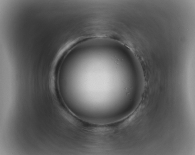 X0000114140342200910081309