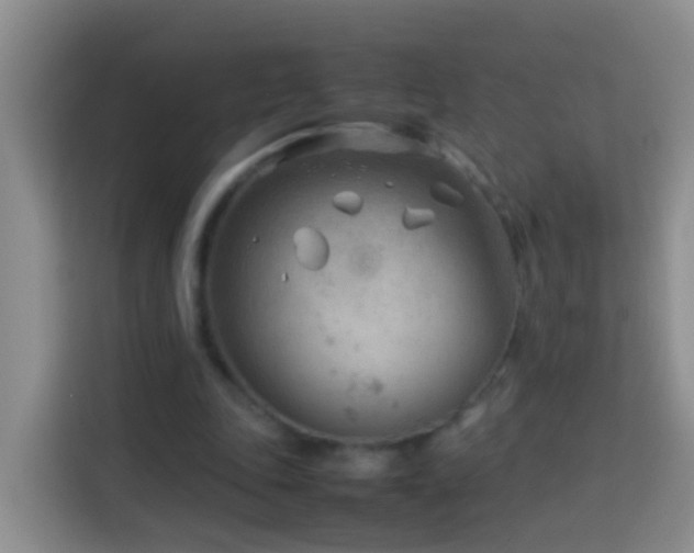 X0000114140343200910081309