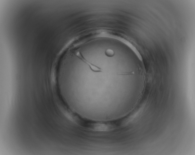 X0000114140347200910081309