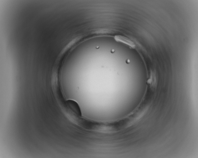 X0000114140348200910081309