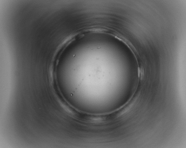 X0000114140349200910081309