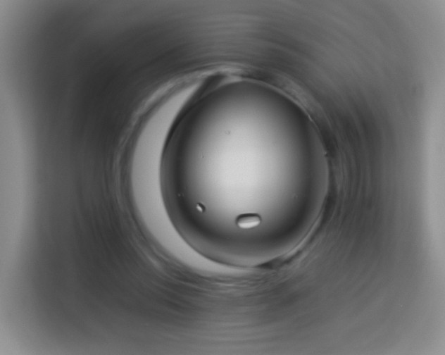 X0000114140350200910081309