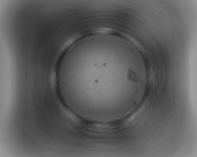 X0000114140351200910081309