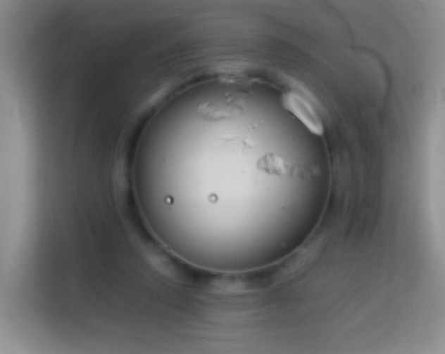 X0000114140354200910081309