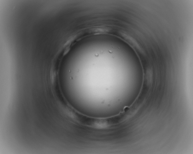 X0000114140355200910081309