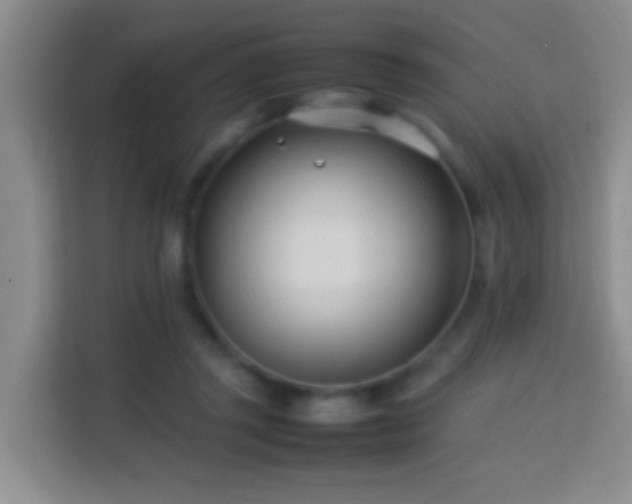 X0000114140357200910081309