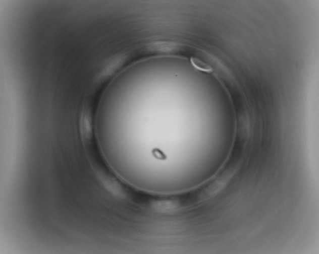 X0000114140358200910081309