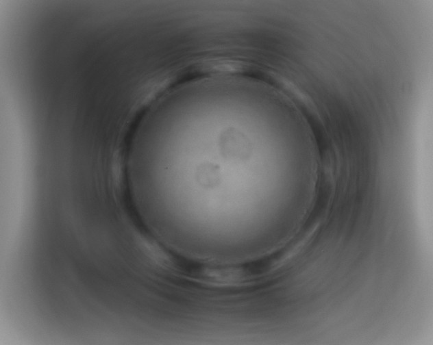 X0000114140359200910081309