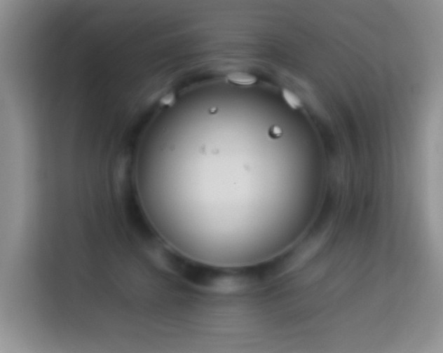 X0000114140364200910081309