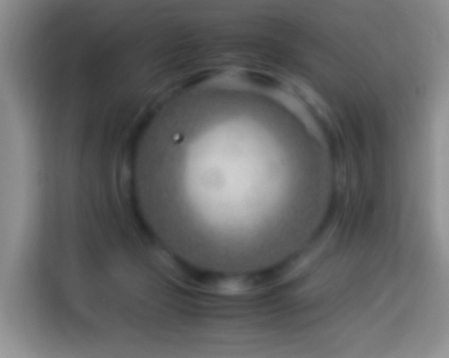 X0000114140365200910081309