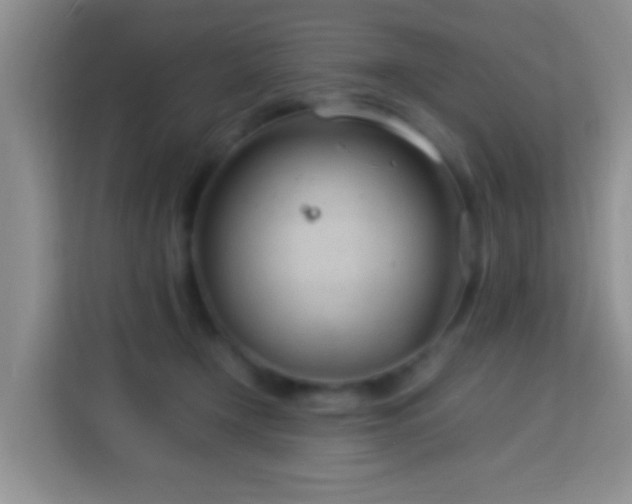 X0000114140366200910081309