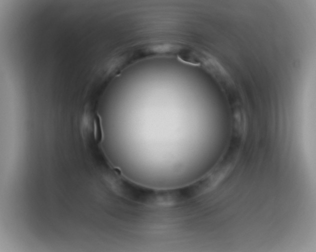 X0000114140368200910081309