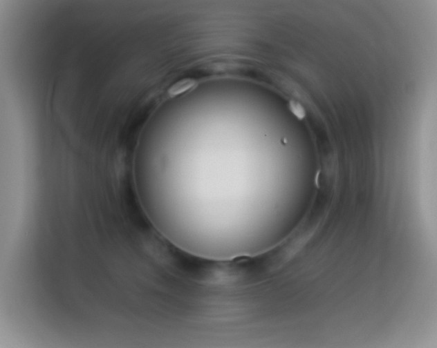 X0000114140372200910081309