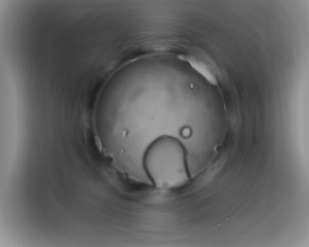 X0000114140374200910081310