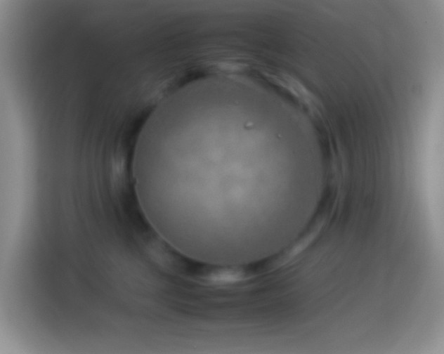 X0000114140377200910081310