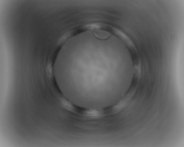 X0000114140381200910081310