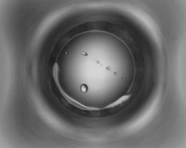 X0000114140382200910081310