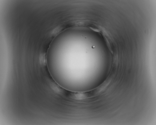 X0000114140383200910081310