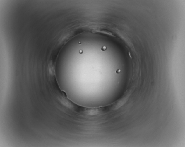 X0000114140384200910081310