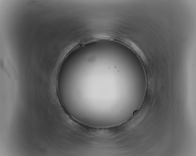 X0000114140385200910081309