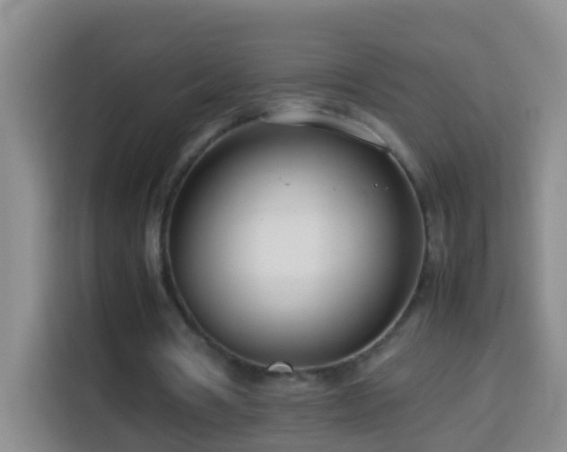 X0000114140386200910081309