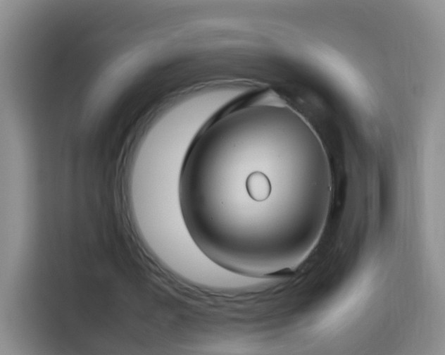 X0000114140387200910081309