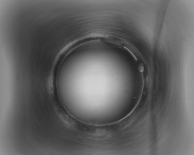 X0000114140388200910081309