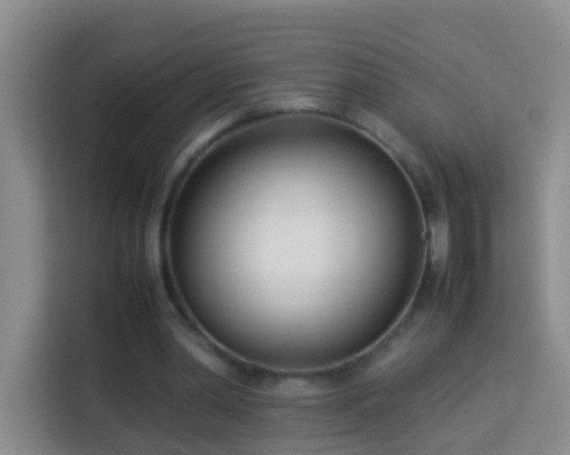 X0000114140390200910081309