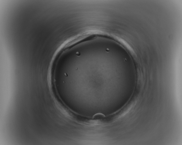 X0000114140391200910081309